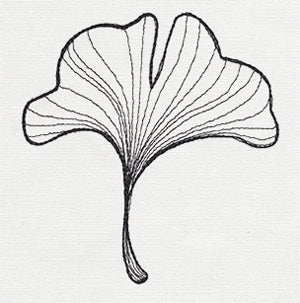 Engraved Ginkgo - Single Leaf