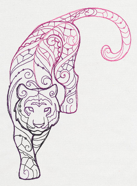 The Delicate Ones - Tiger