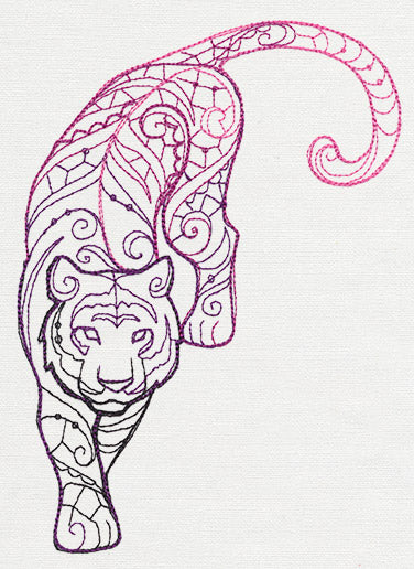 The Delicate Ones - Tiger