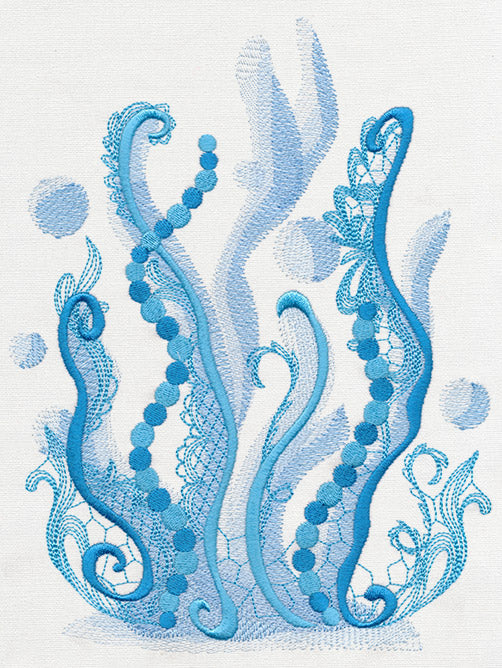 Aquarius - Seaweed