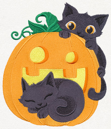 Cat-o'-Lantern