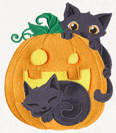 Cat-o'-Lantern