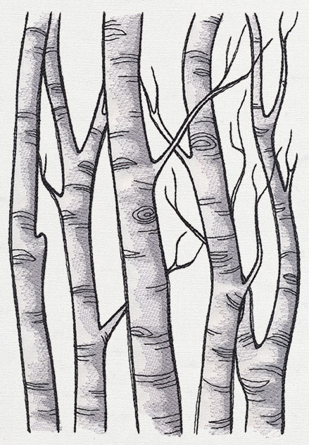 Birch Tree Forest