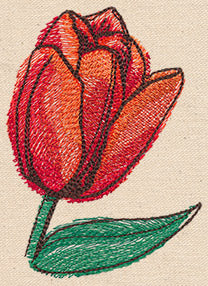 Passport to The Netherlands - Tulip