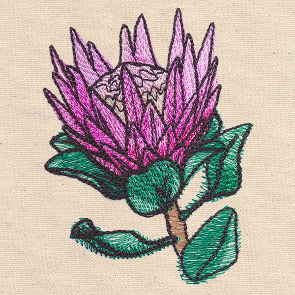 Passport to South Africa - King Protea