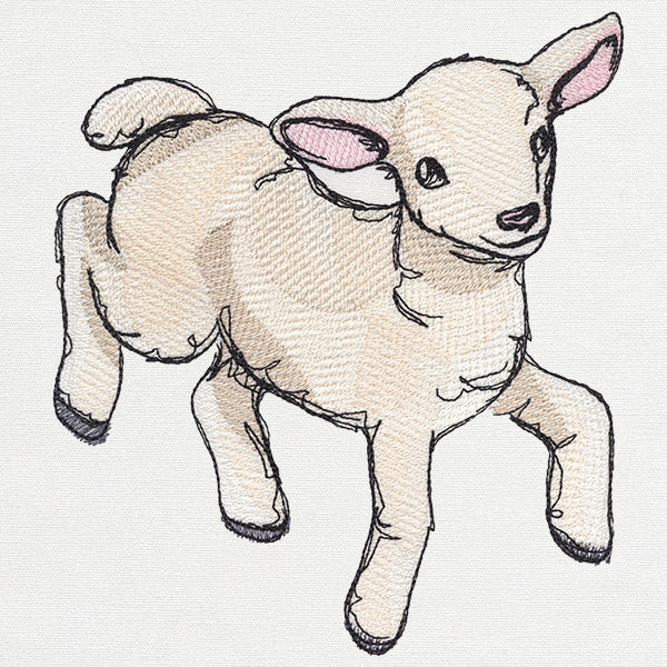 Playful Lamb