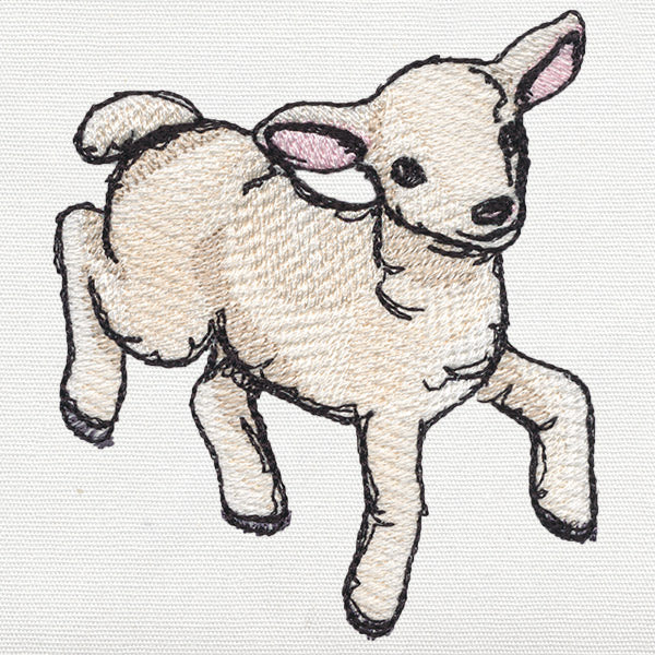 Playful Lamb