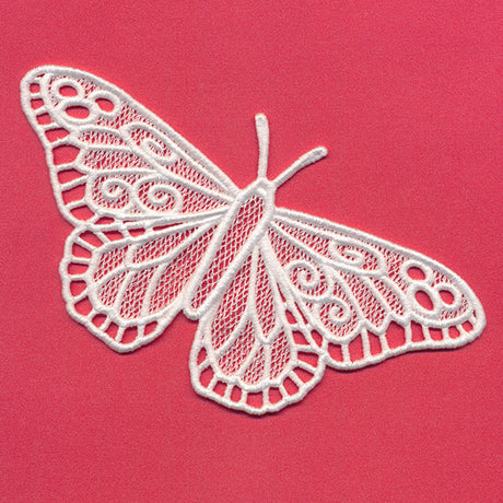Chrysalis - Monarch (Lace)