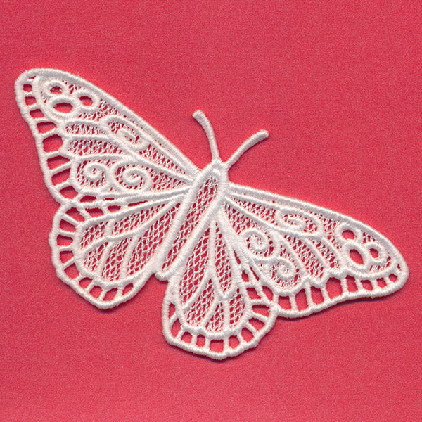 Chrysalis - Monarch (Lace)