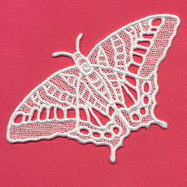 Chrysalis - Tiger Swallowtail (Lace)