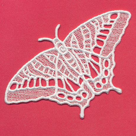 Chrysalis - Tiger Swallowtail (Lace)