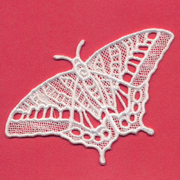 Chrysalis - Tiger Swallowtail (Lace)