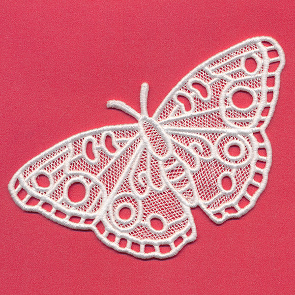 Chrysalis - Buckeye (Lace)