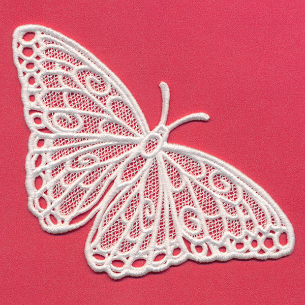 Chrysalis - Blue Morpho (Lace)