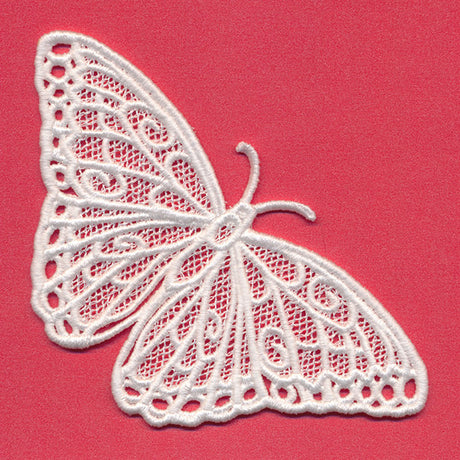 Chrysalis - Blue Morpho (Lace)