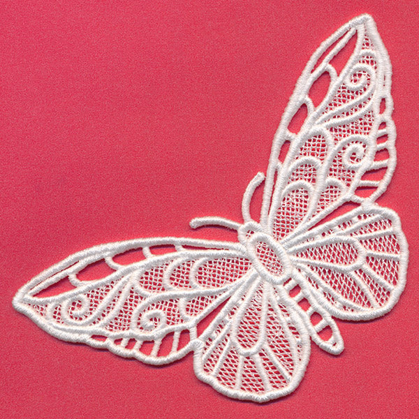 Chrysalis - Green Birdwing (Lace)