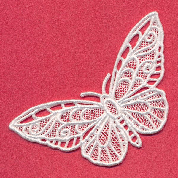 Chrysalis - Green Birdwing (Lace)