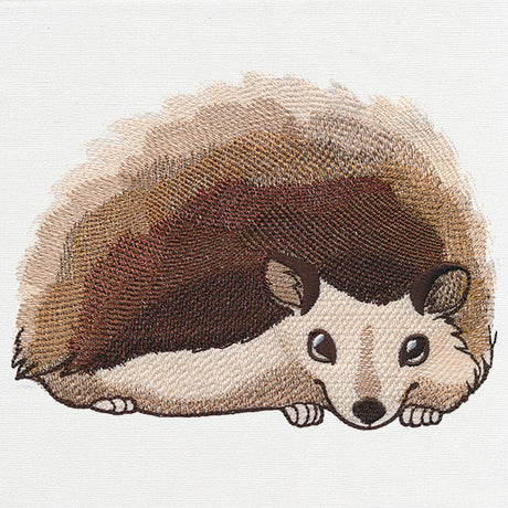 Hedgie