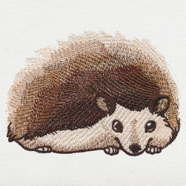Hedgie