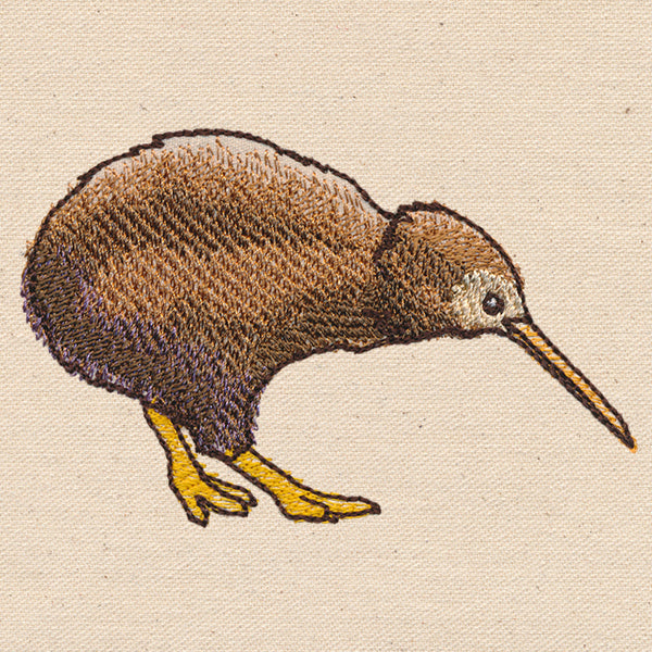 Passport to New Zealand - Kiwi