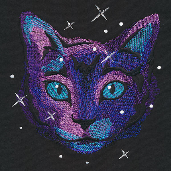 Galactic Cat