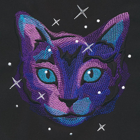 Galactic Cat