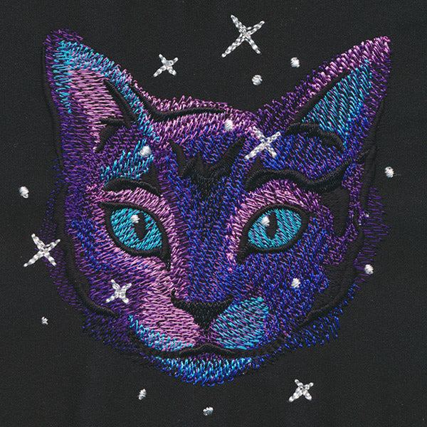 Galactic Cat