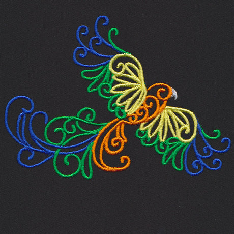 Wild Spirals - Sun Conure