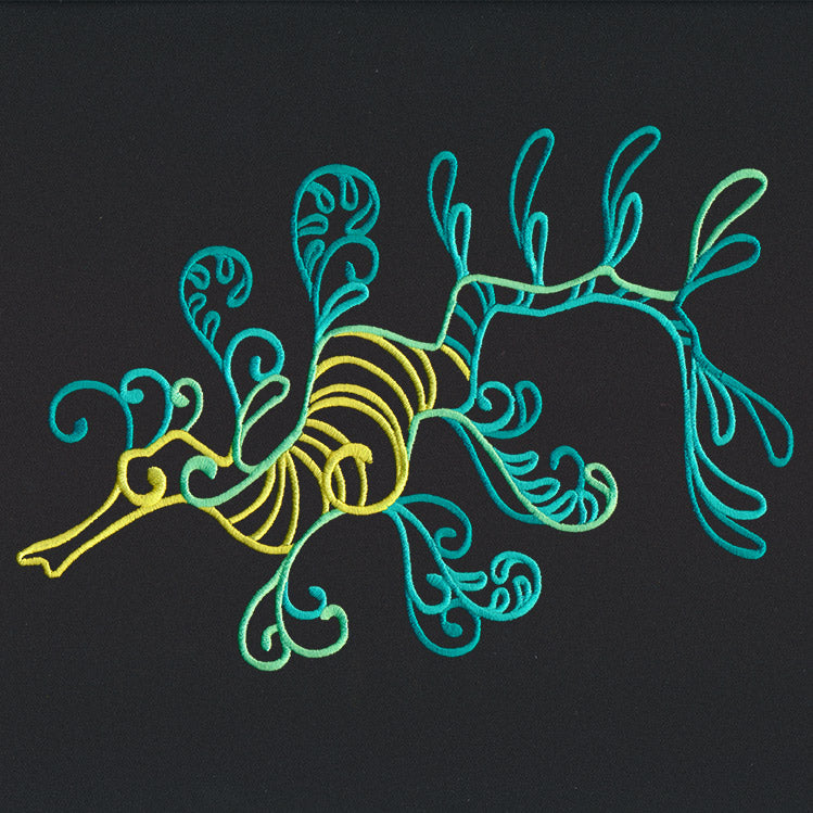 Wild Spirals - Leafy Seadragon