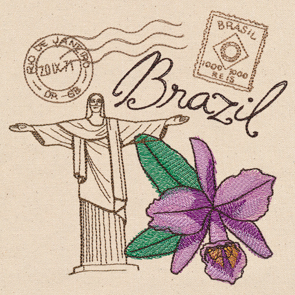 Passport to Brazil