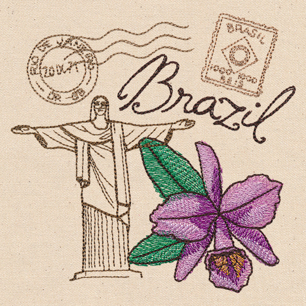 Passport to Brazil