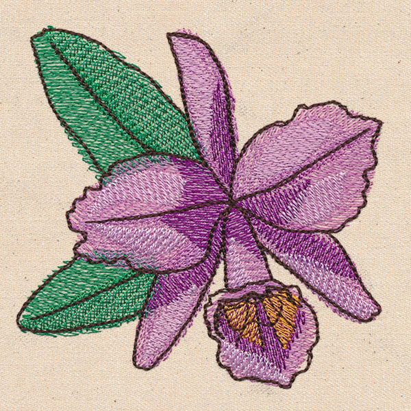 Passport to Brazil - Corsage Orchid