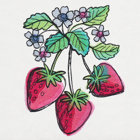 Summer Tastes - Strawberries