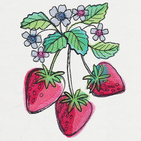 Summer Tastes - Strawberries