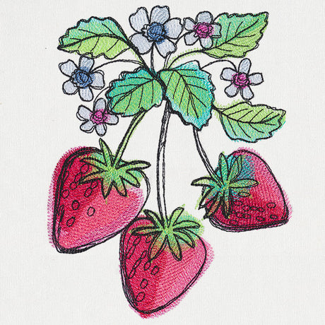 Summer Tastes - Strawberries