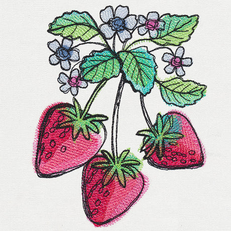 Summer Tastes - Strawberries