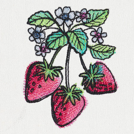 Summer Tastes - Strawberries