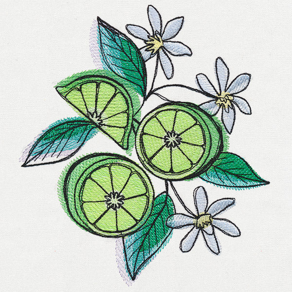 Summer Tastes - Limes