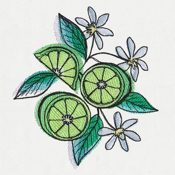 Summer Tastes - Limes