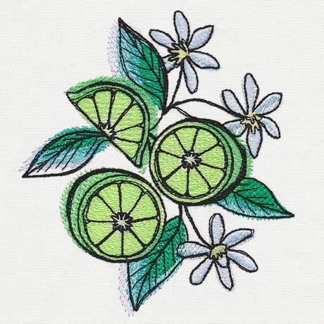 Summer Tastes - Limes