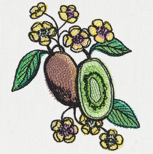 Summer Tastes - Kiwi