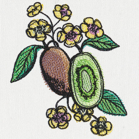 Summer Tastes - Kiwi