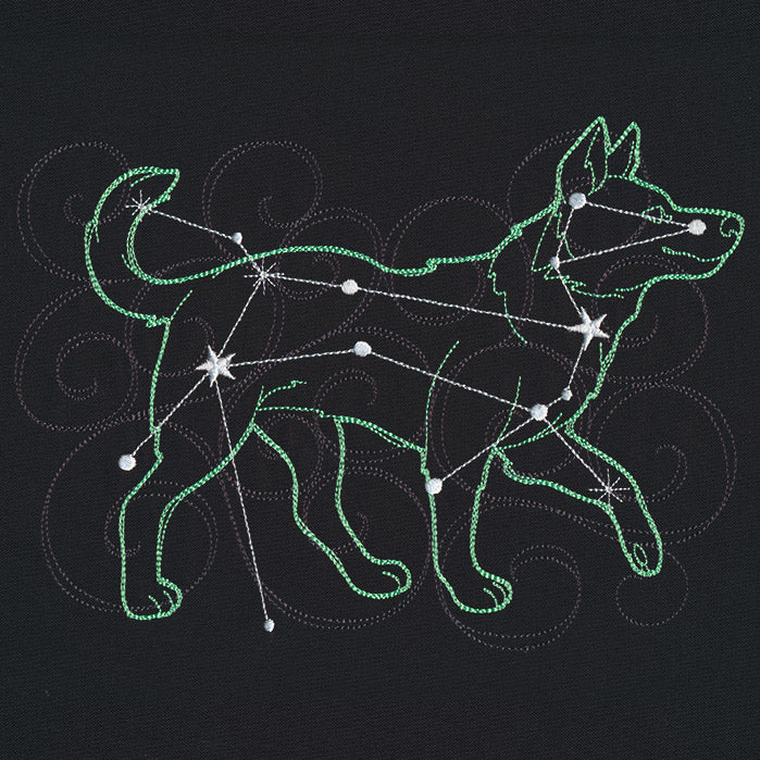 Stellar Constellations - Canis Major
