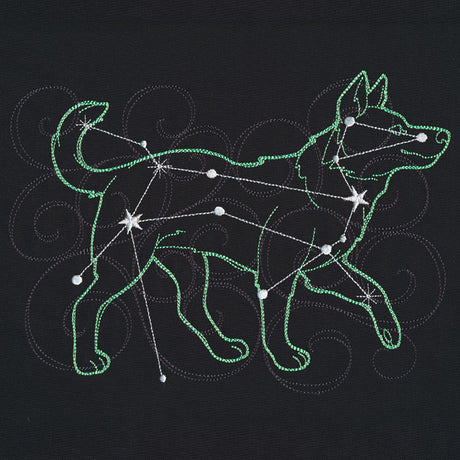 Stellar Constellations - Canis Major