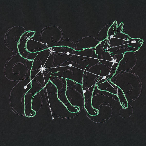 Stellar Constellations - Canis Major