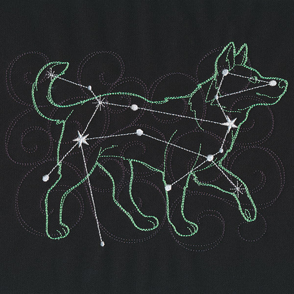 Stellar Constellations - Canis Major