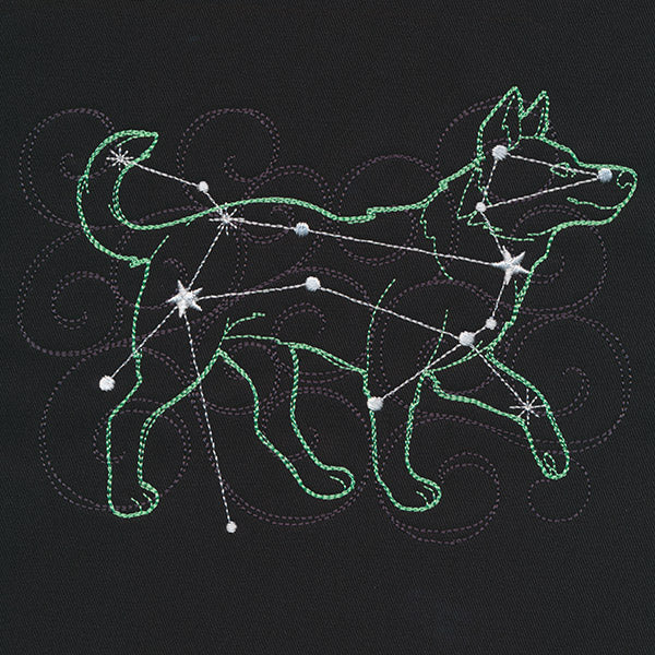 Stellar Constellations - Canis Major