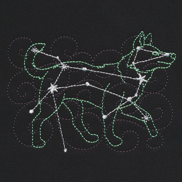 Stellar Constellations - Canis Major