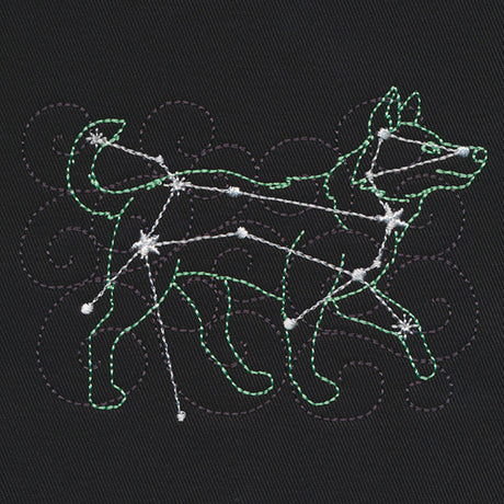 Stellar Constellations - Canis Major