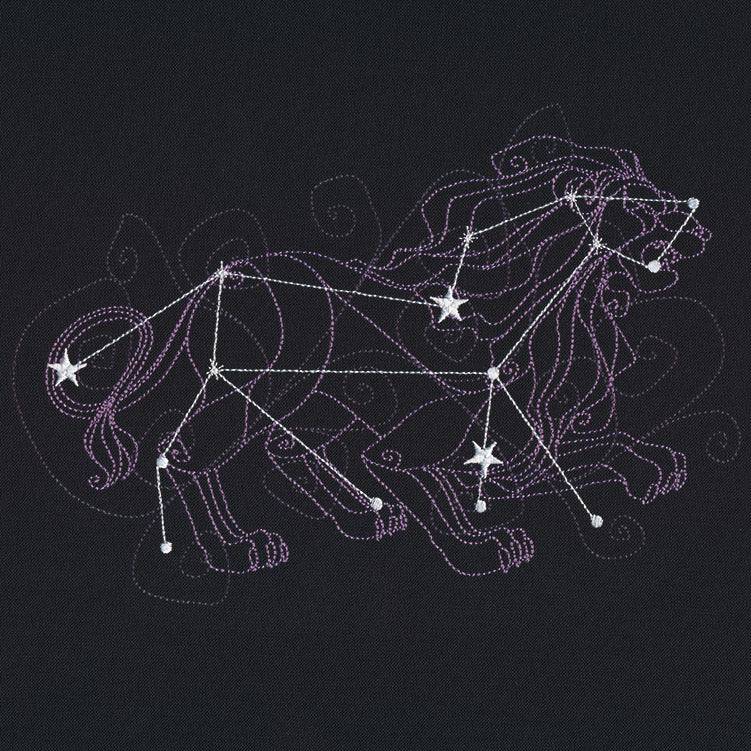 Ecliptic Constellations - Leo